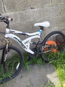 free bicycle