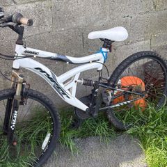 free bicycle
