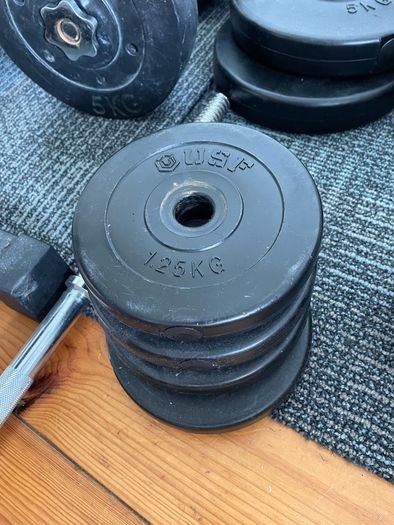 Weights & bench