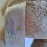 Rare Retired Build-a-Bear Hawaiian Tan Hello Kitty + Outfit Image 6