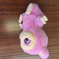 teddy