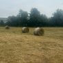 Bales Image 2