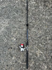 Fishing Rod with Reel
