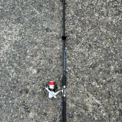 Fishing Rod with Reel