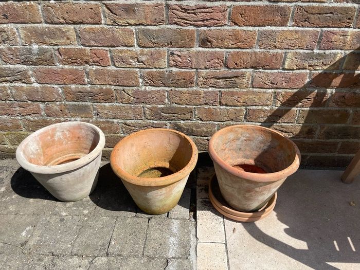 Terracotta Plant Pots