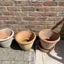Terracotta Plant Pots Image 4