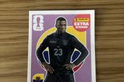 Panini sticker