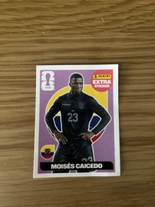 Panini sticker