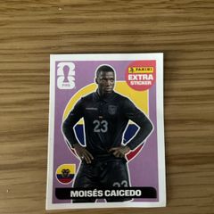 Panini sticker