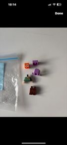 lego min055 Minecraft Alex set 21136