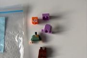lego min055 Minecraft Alex set 21136
