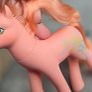 Wild Flower Wildflower Sweetheart Sister Ponies MLP G1 My Little Pony 1988 Image 4