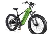 Cyrusher Zenith Step-Over Electric Bike