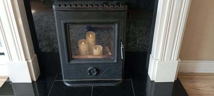 Horse flame solid fuel insert stove