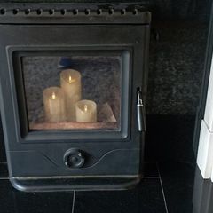 Horse flame solid fuel insert stove