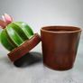 hand made leather cactus box Image 3