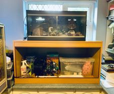 wooden vivariums