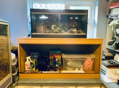 wooden vivariums