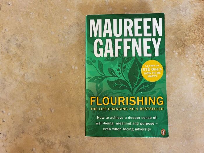 Flourishing by Maureen Gaffney.