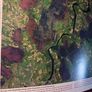 A Long-Lived Wilderness/ The Future of the North Midlands Peatland Network/ John Feehan/ 2005 Image 10