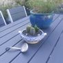 Fabulous Vintage Arklow Pottery Blue and White Tureen with Cacti Garden - A Fabulous Unique and Decorative Item for Display Indoors Image 2