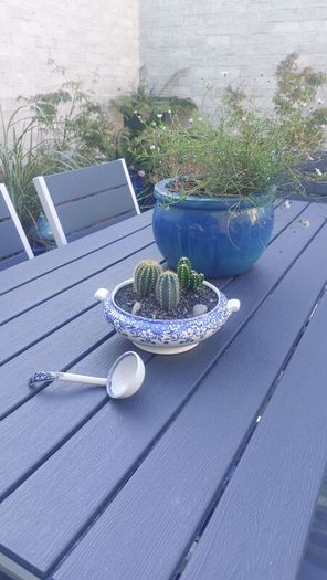 Fabulous Vintage Arklow Pottery Blue and White Tureen with Cacti Garden - A Fabulous Unique and Decorative Item for Display Indoors