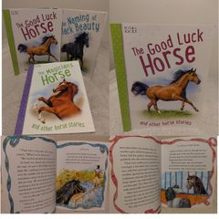 horse Stories Books by miles kelly