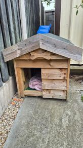 dog kennel