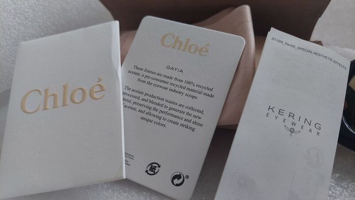 An Unrivalled Investment in High Fashion  The Chloe Gayia
