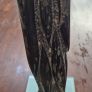 Very Large Fossil Nautiloid 53cm Image 2