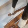 Rocking Horse Image 7