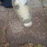 vintage vodka bottle Image 3