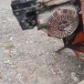 Honda petrol mixer- like new Image 8