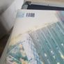 Placebo vinyl Image 3