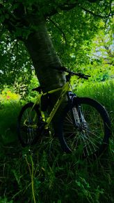 Bentini 26" Mountain Bike