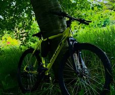 Bentini 26" Mountain Bike