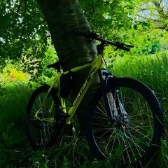 Bentini 26" Mountain Bike