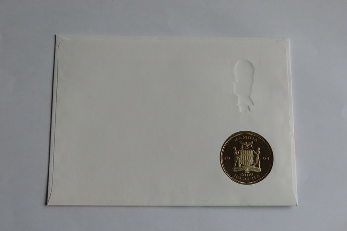 USA WORLD CUP 1994 Netherlands Coin Cover  Vintage