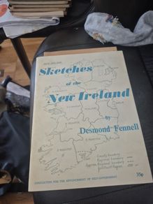 Rare Sketches of the New Ireland by Desmond Fennell