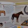 100 Facts Books By Miles Kelly Image 6