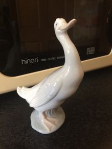 nao duck figure