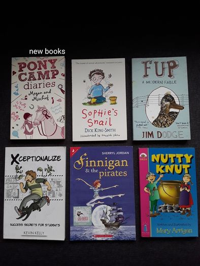 Kids books perfect for 8+ age in like new condition