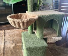 Cat House