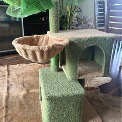 Cat House