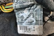 BMW X5 Used Rear Parking Sensor Harnes Wiring