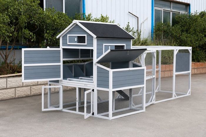 Large Chicken Coop 6 8 Birds Outdoor Waterproof Chicken Shack