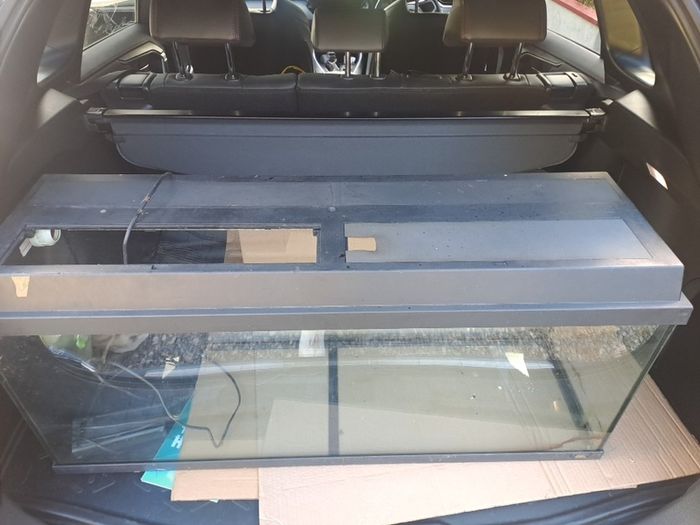Fish Tank