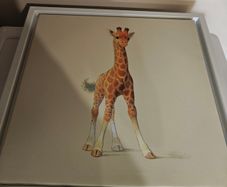 Baby picture
