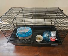Hamster cage with accessories