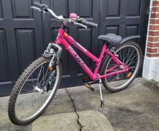 Older Childs/Teenager/Small Lady Bicycle